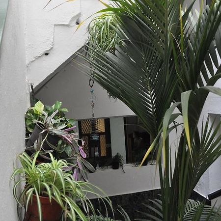 Falow Las Palmas de Gran Canaria Dış mekan fotoğraf